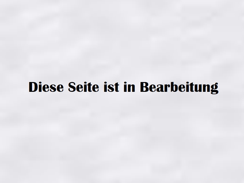 In Bearbeitung